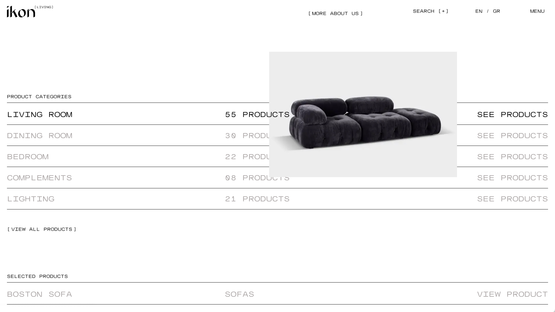 Loonatiks_Design_Crew_Ikon_Homepage_Products