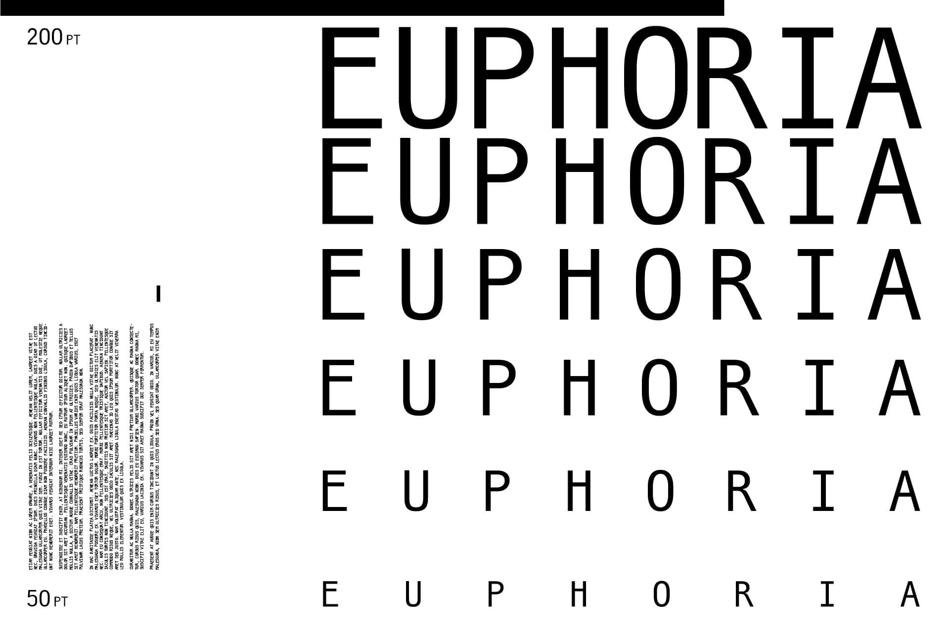 Loonatiks_Design_Crew_LT_Monoslave_Euphoria