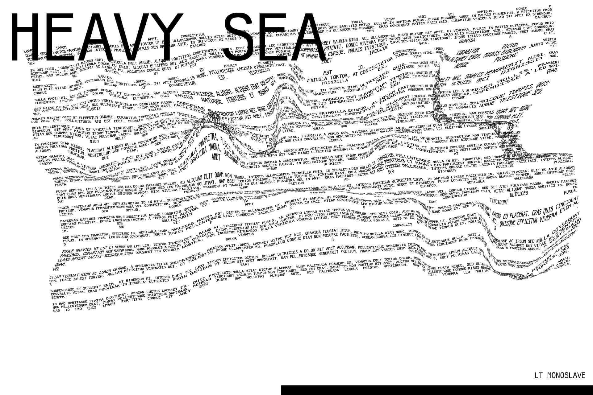Loonatiks_Design_Crew_LT_Monoslave_Heavy_Sea