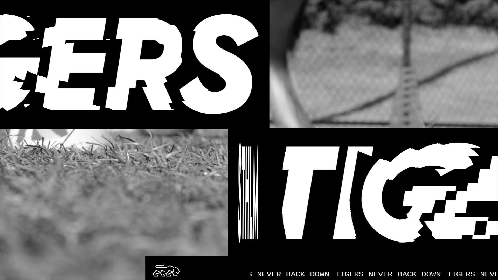 Loonatiks_Design_Crew_STHLM_Tigers_Footage_2
